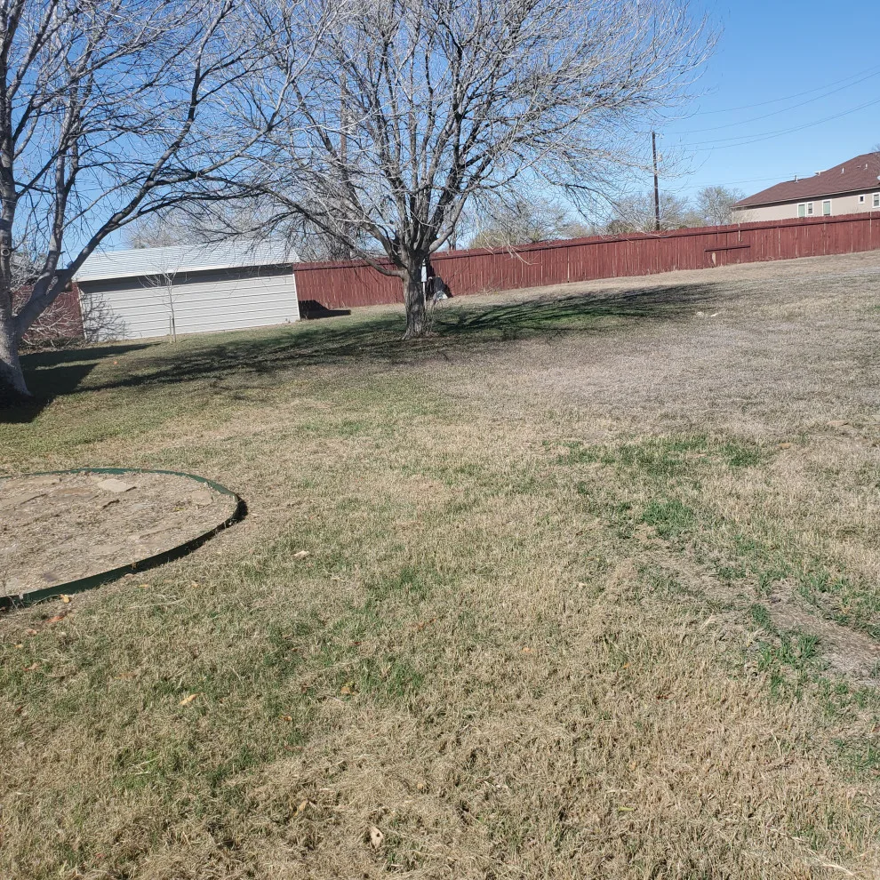 Tornado Pest Control LLC - Photo 2
