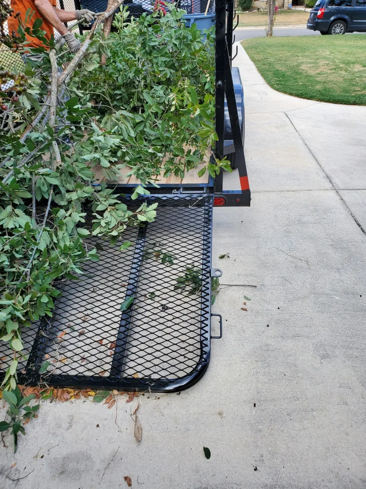 Tornado Pest Control LLC - Photo 4