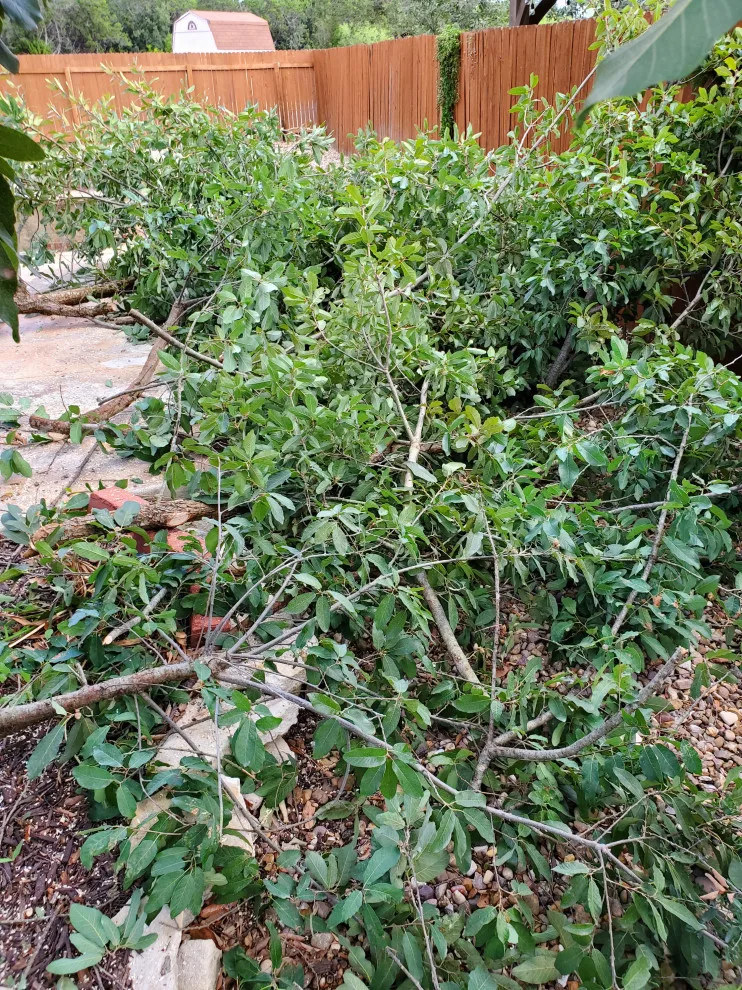 Tornado Pest Control LLC - Photo 6