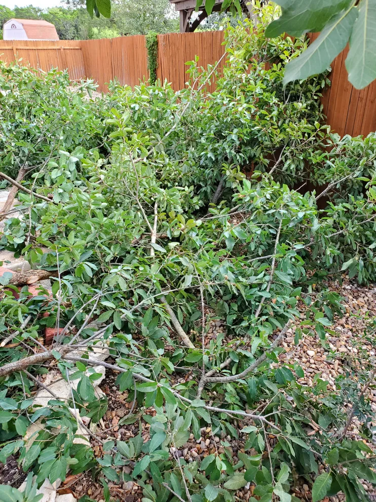 Tornado Pest Control LLC - Photo 13
