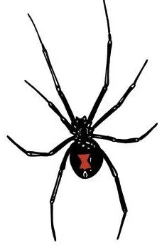 Preventive Pest Control - Las Vegas - Photo 5