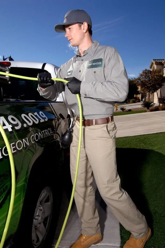 Preventive Pest Control - Las Vegas - Photo 9
