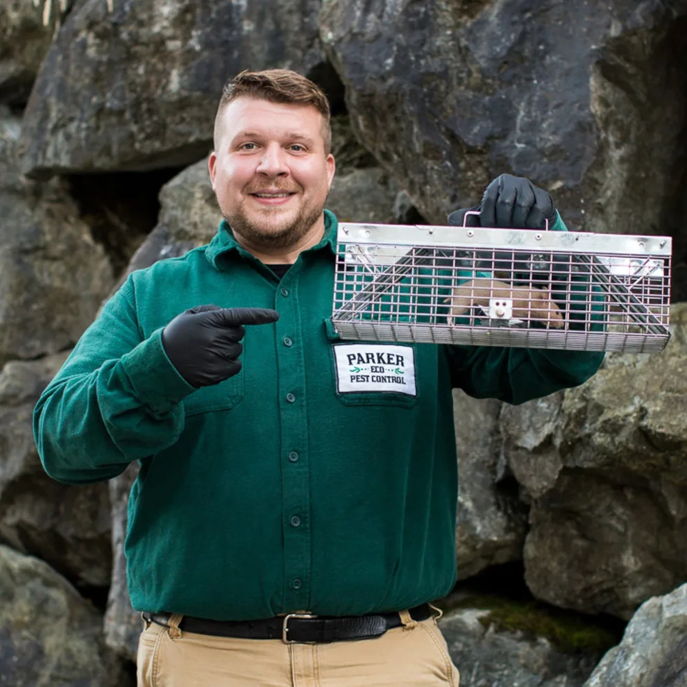 Parker Eco Pest Control Seattle - Photo 3