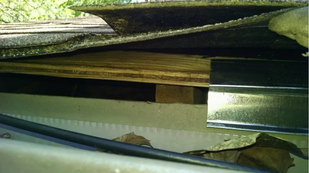 Parker Eco Pest Control Seattle - Photo 2