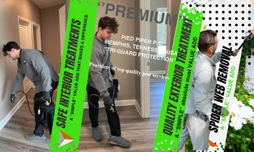 Pied Piper Pest Control, Inc - Photo 4
