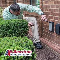 All-American Pest Control - Photo 2