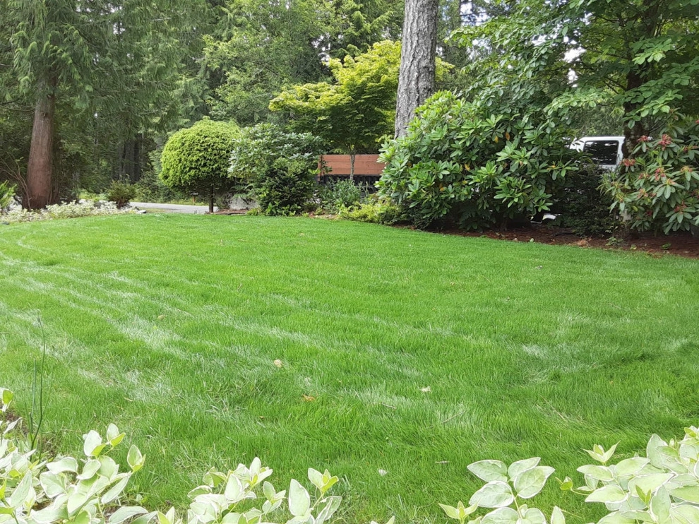 Pablo Landscaping LLC - Photo 10