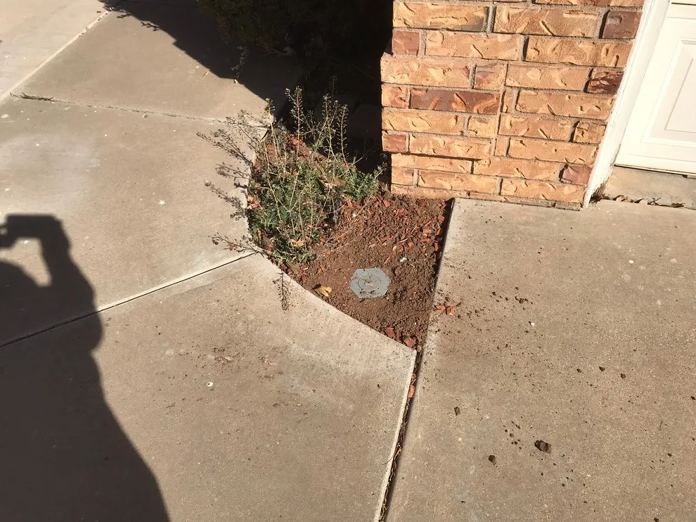 Pest Management by ChemTec Pest Control, LLC - Photo 7