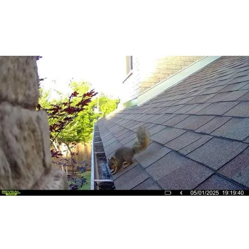 Critter Stop - Photo 3