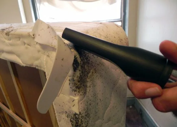 Eco Bed Bug Exterminator Los Angeles - Photo 4