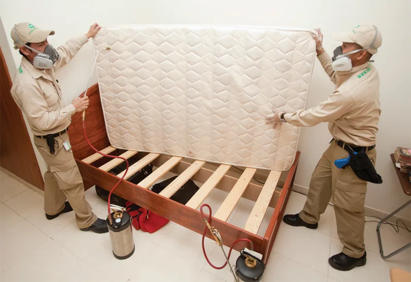 Eco Bed Bug Exterminator Los Angeles - Photo 2