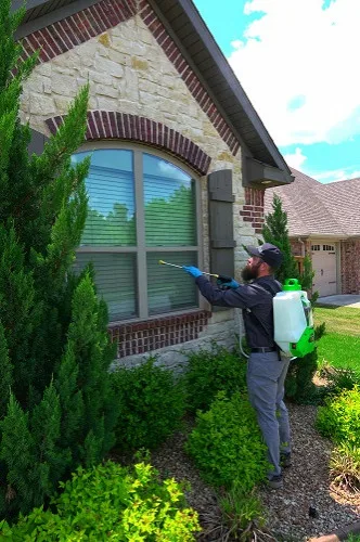 Flex Pest Control - Photo 3