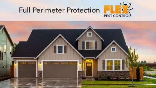 Adaptive Pest Management by Flex Pest Control - Photo 2