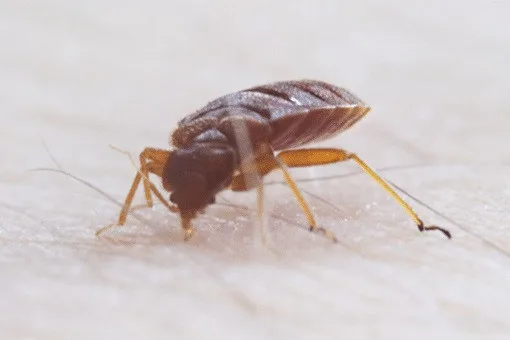 Hydrex Termite & Pest Control - Photo 3