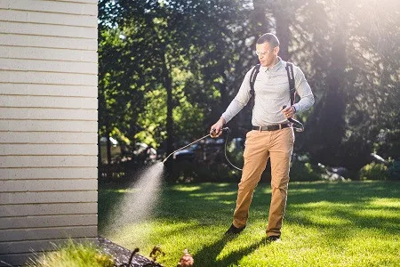 Greenix Pest Control - Photo 4