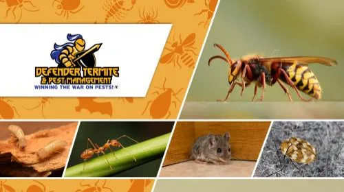 Defender Termite & Pest Management - Photo 2