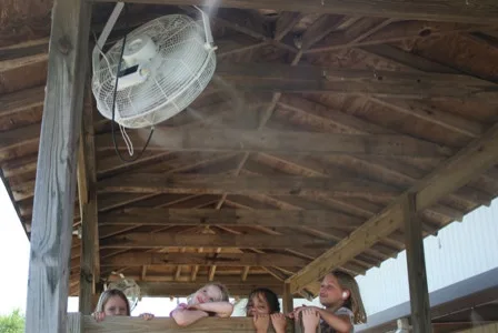 Fog Breeze Fans by Backyard Comfort & Pest Control - Photo 5