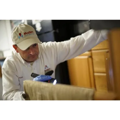 Modern Pest Services - Photo 2