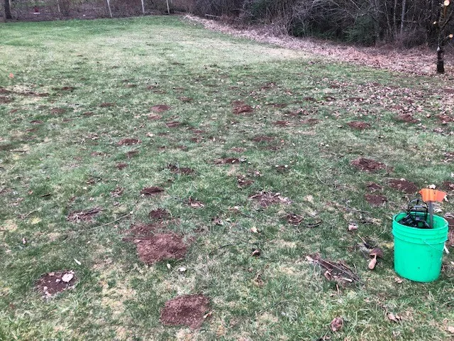 Rodent Capture by The Mole Guys - Photo 12