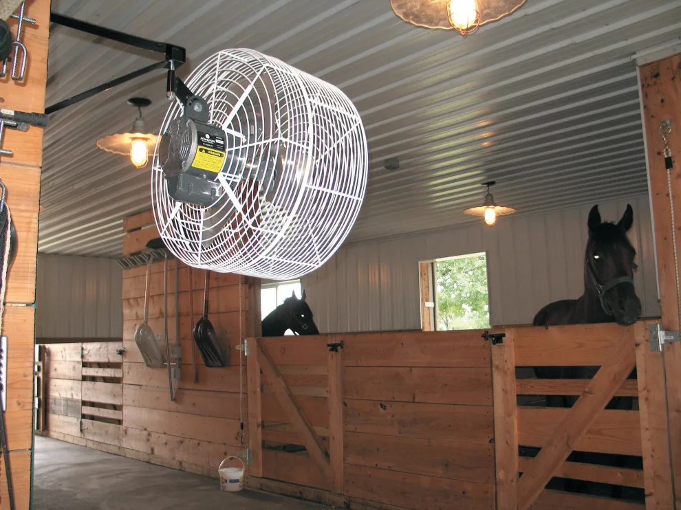 Exterior Fans by Backyard Comfort & Pest Control - Photo 6
