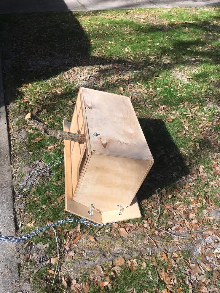 Stephan Boxes - Photo 13