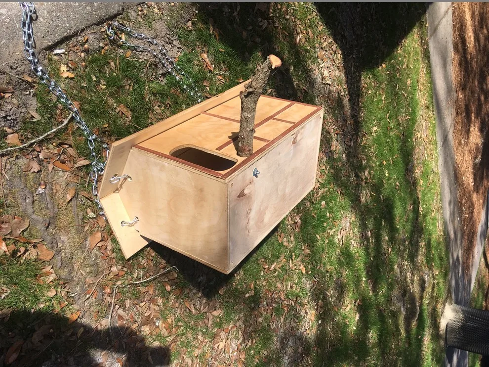 Stephan Boxes - Photo 11