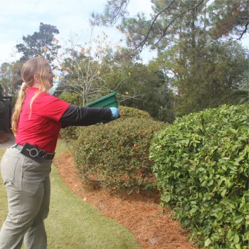Palmetto Exterminators - Photo 3