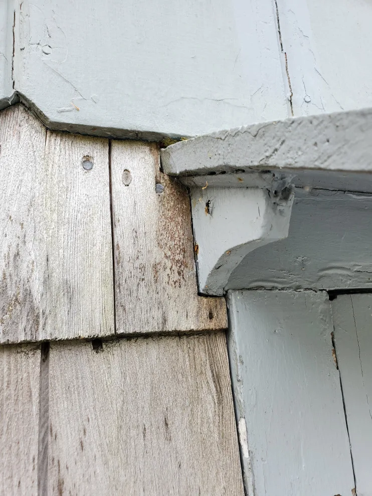 P.I. Pest Investigators LLC - Photo 7