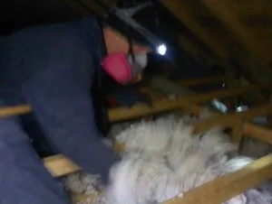Green Country Wildlife Specialist - Photo 2