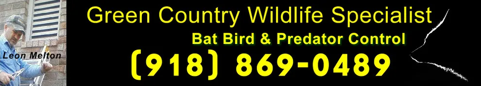 Green Country Wildlife Specialist - Photo 3