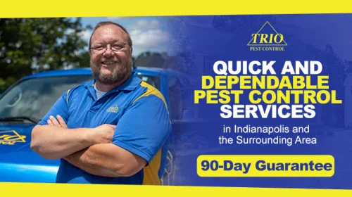 Trio Pest Control - Photo 2