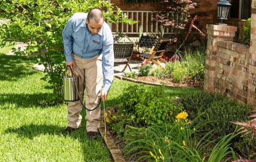 Frontier Pest Control - Photo 2