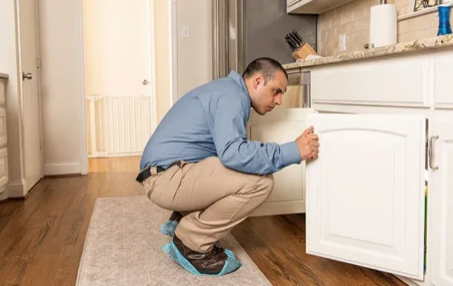 Frontier Pest Control - Photo 3