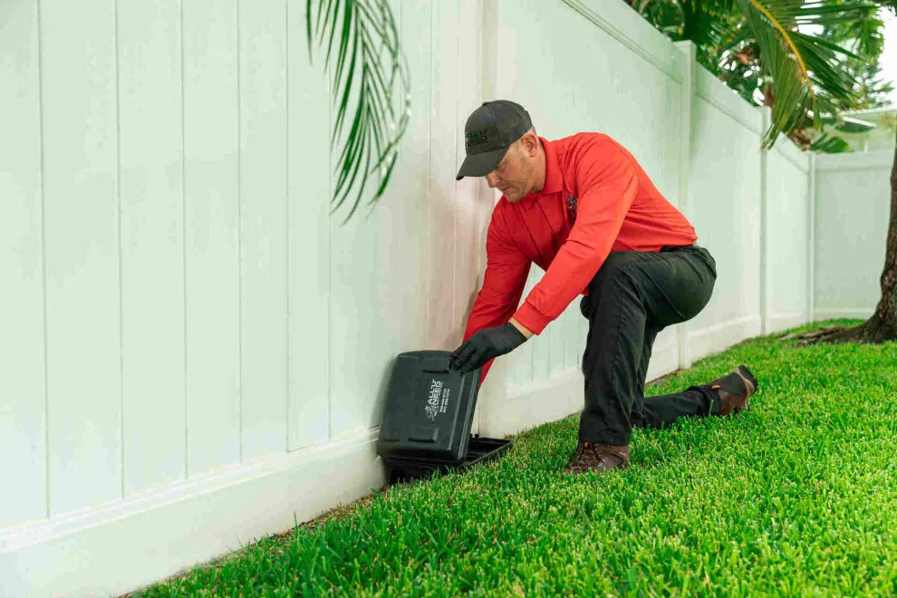 All U Need Pest Control - Photo 3