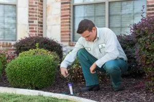 All-Safe Pest & Termite - Photo 2