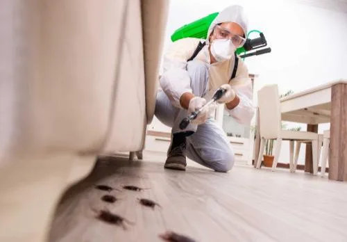 Images by Shreveport Pro Pest - Photo 2
