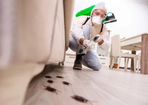 Reno Pest Control Team - Photo 2