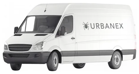Urbanex Pest Control - Photo 2