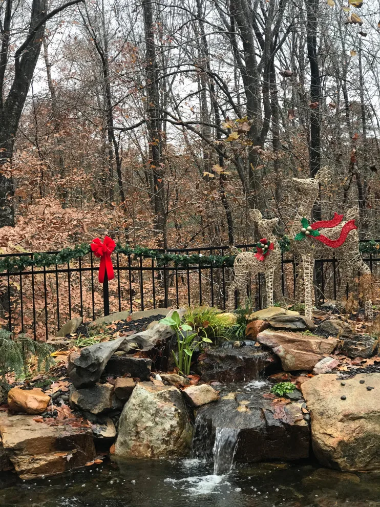 Holiday Decorating Project 2019 by JACE Interiors, LLC - Photo 3