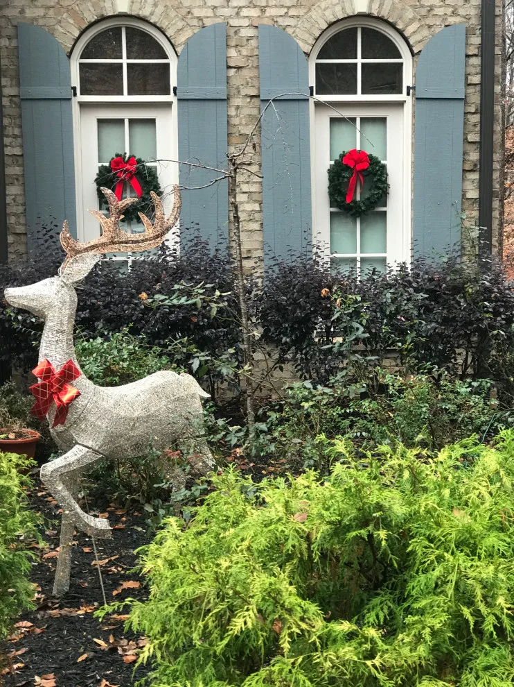 Holiday Decorating Project 2019 by JACE Interiors, LLC - Photo 6