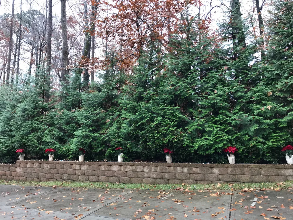 Holiday Decorating Project 2019 by JACE Interiors, LLC - Photo 4