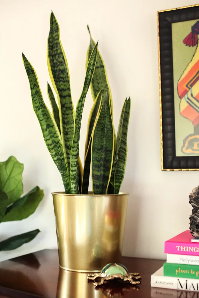 Vibrant Art Deco Guest Room by T. Moore Home ReDesign - Photo 7