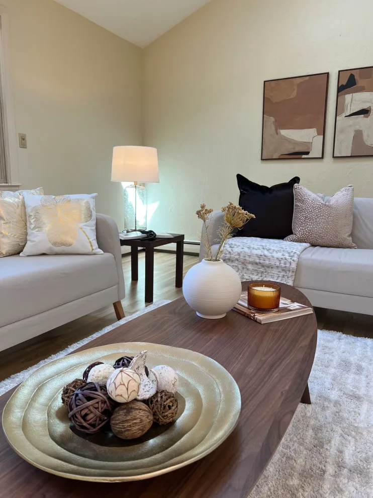 Home Staging for Vacant Properties in Natick by Céline's Interiors - Photo 17