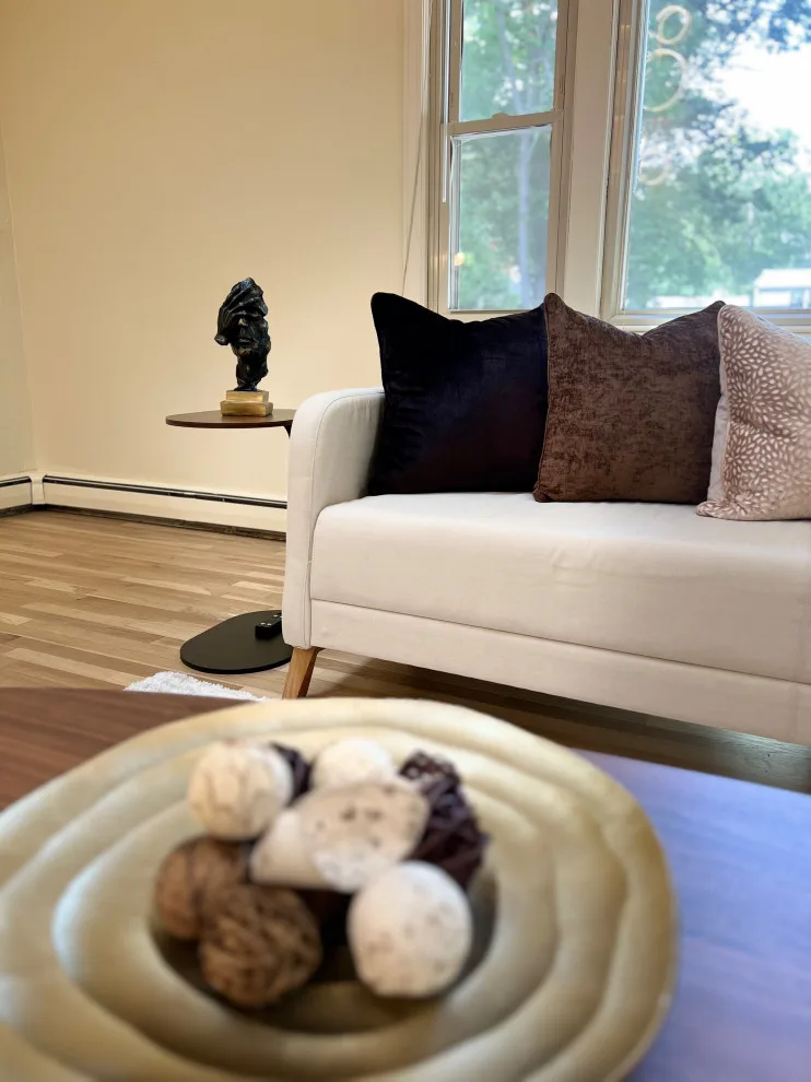 Home Staging for Vacant Properties in Natick by Céline's Interiors - Photo 19