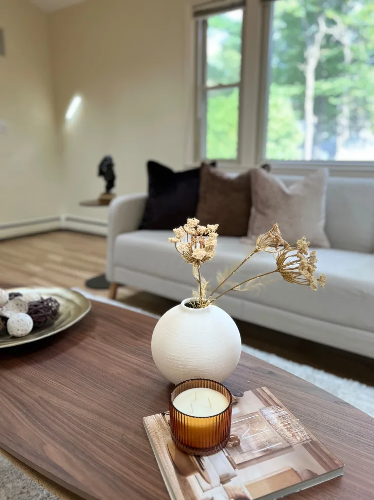 Home Staging for Vacant Properties in Natick by Céline's Interiors - Photo 66