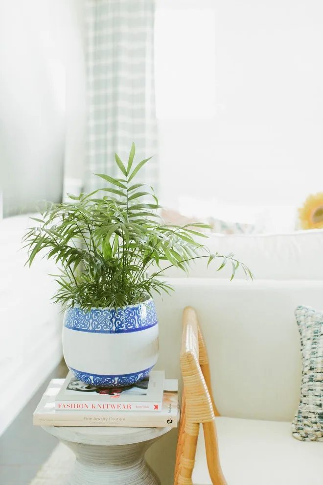 Cecely Interiors - Photo 3
