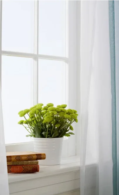Green Haven Design & Consulting, LLC - Photo 13