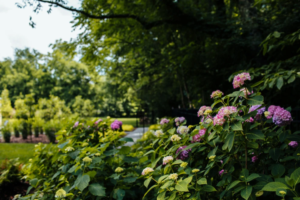 Huge Sun & Shade Garden | Franklin, TN by Gardens Of Babylon Landscapes - Photo 12