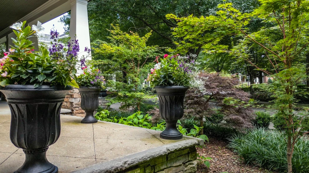 Gardens Of Babylon Landscapes - Photo 11