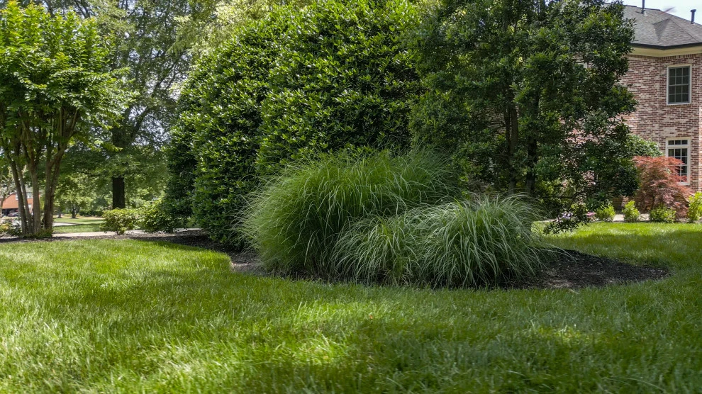 Timeless Elegance, Fresh Landscaping | Nashville, TN by Gardens Of Babylon Landscapes - Photo 12